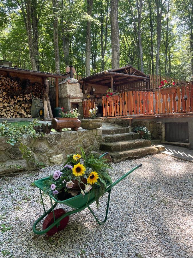 Chalet I Folletti Apartment Abbadia San Salvator Exterior photo